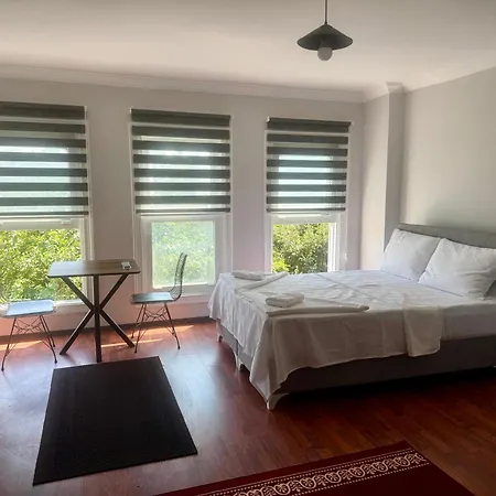 Mehmet Pasa Konagi Apartmán Istanbulská provincie