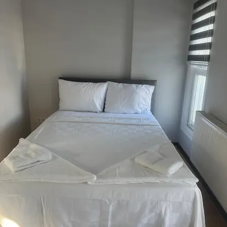 Mehmet Pasa Konagi *