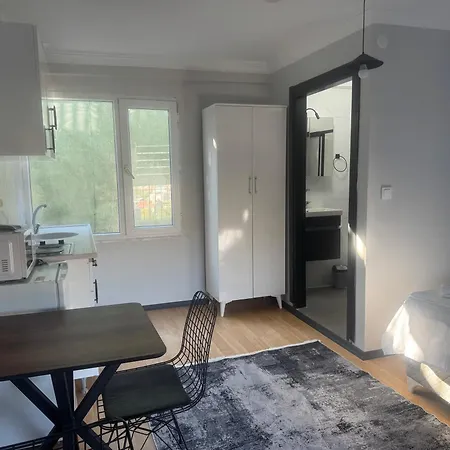 Mehmet Pasa Konagi *