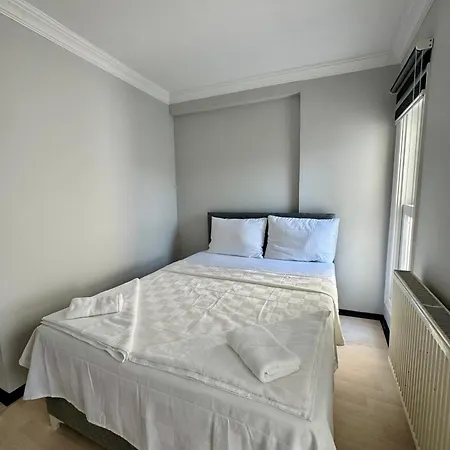 Mehmet Pasa Konagi *