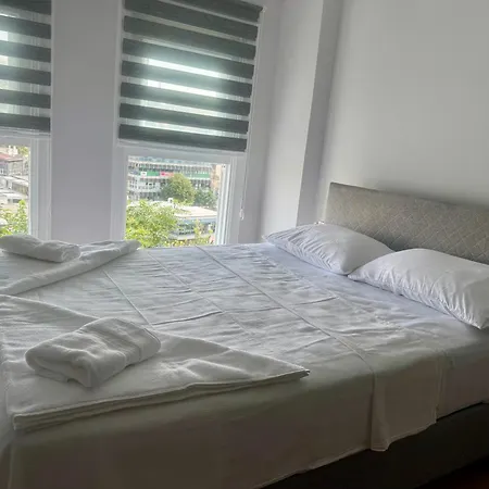 Mehmet Pasa Konagi *