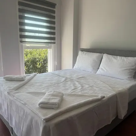 Mehmet Pasa Konagi *