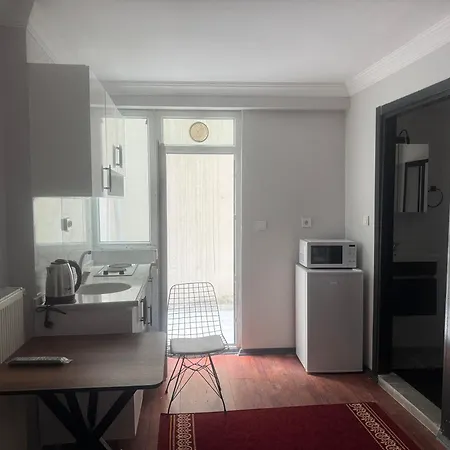 Mehmet Pasa Konagi *