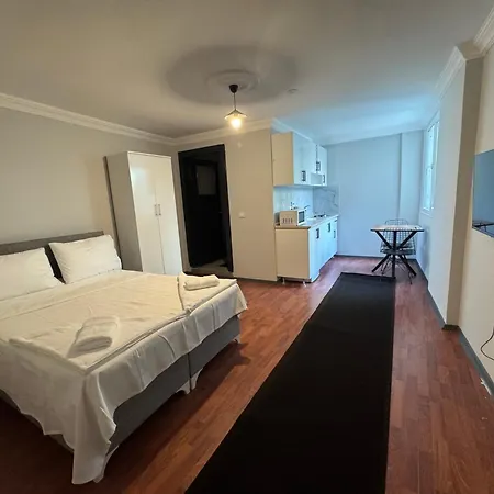 Mehmet Pasa Konagi *