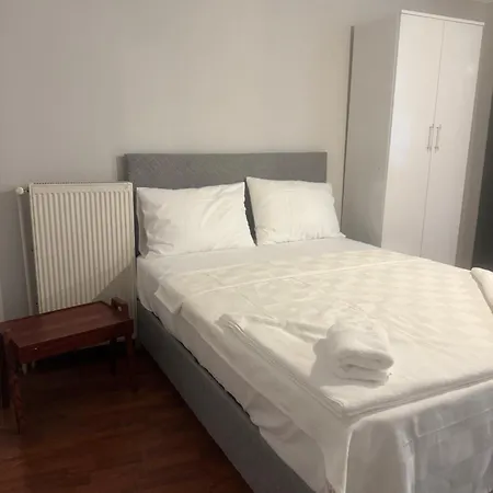 Mehmet Pasa Konagi *