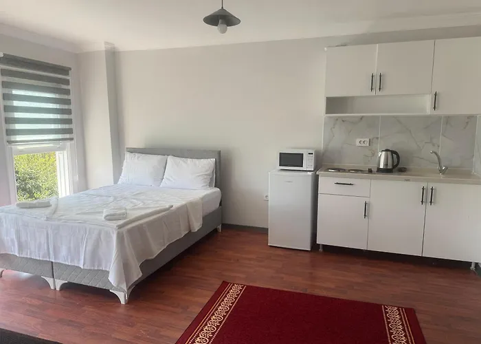 Mehmet Pasa Konagi Стамбул