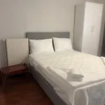 Mehmet Pasa Konagi *